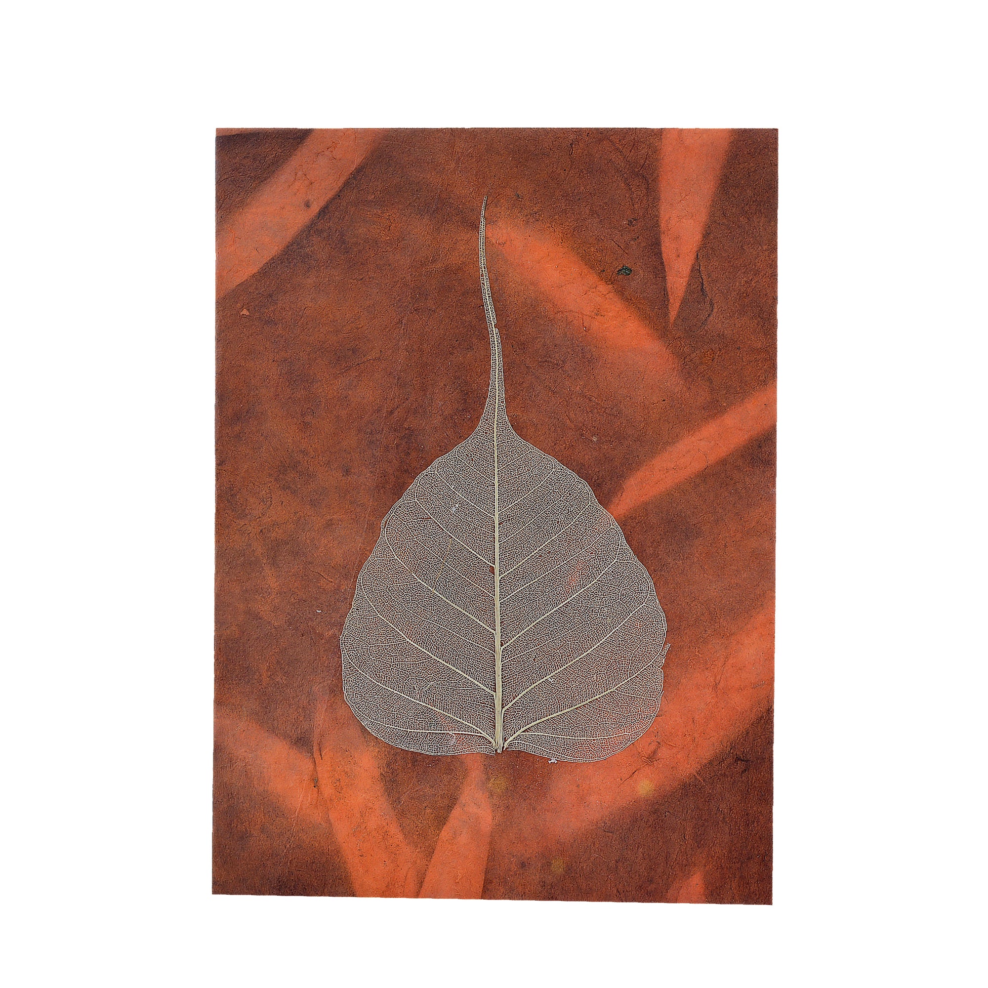 Bodhi Leaf Shadow Card
