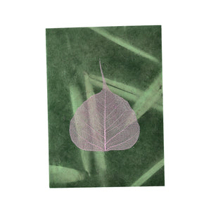 Bodhi Leaf Shadow Card